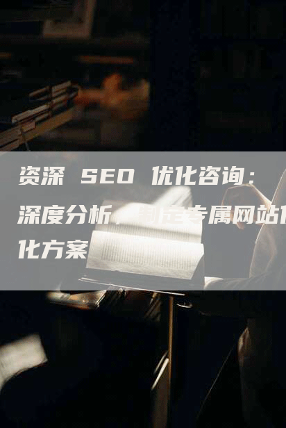 资深 SEO 优化咨询：深度分析，制定专属网站优化方案