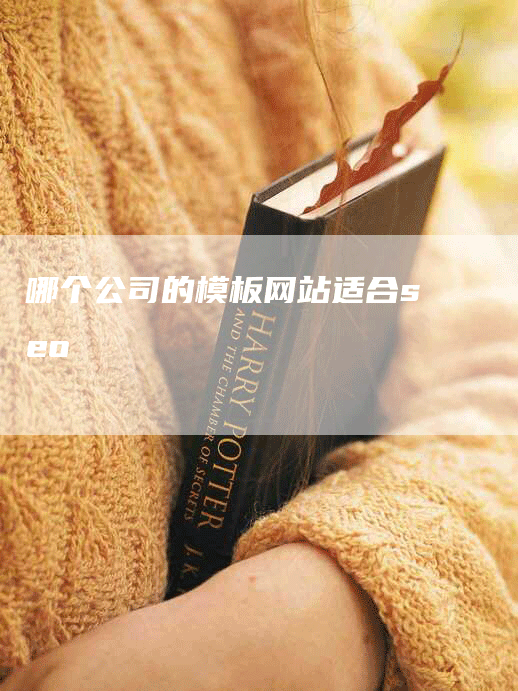 哪个公司的模板网站适合seo