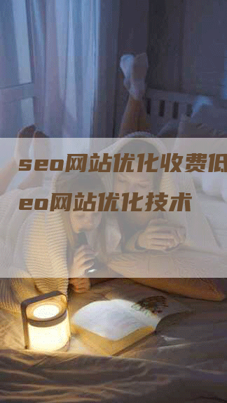seo网站优化收费低，seo网站优化技术