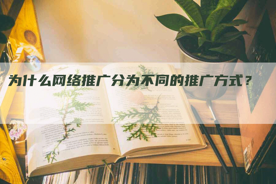 为什么网络推广分为不同的推广方式？-网站排名优化网