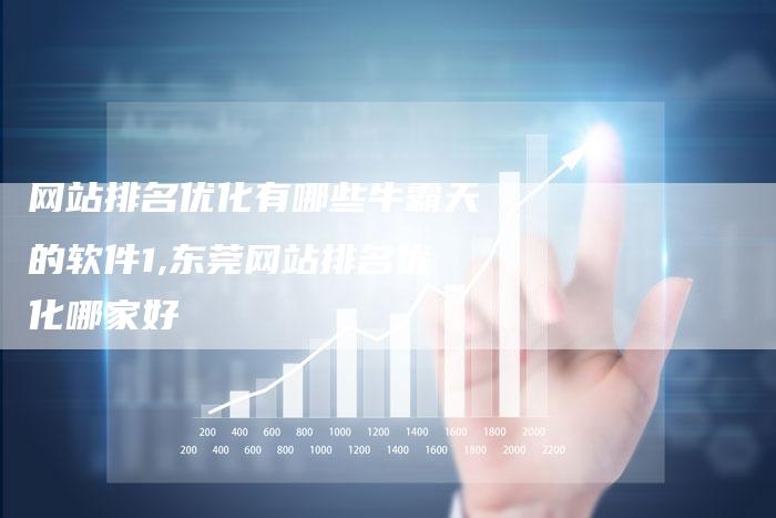 网站排名优化有哪些牛霸天的软件1,东莞网站排名优化哪家好
