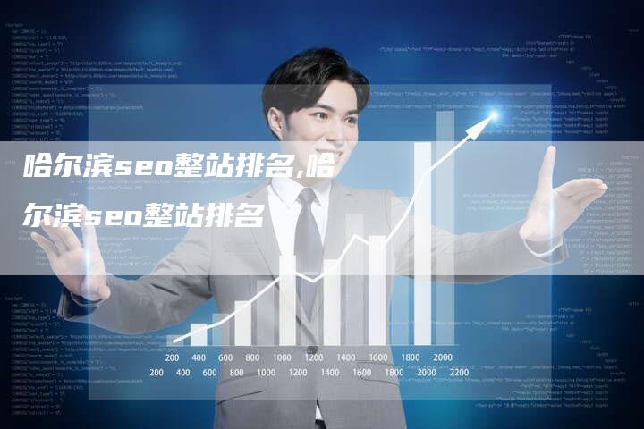 哈尔滨seo整站排名,哈尔滨seo整站排名