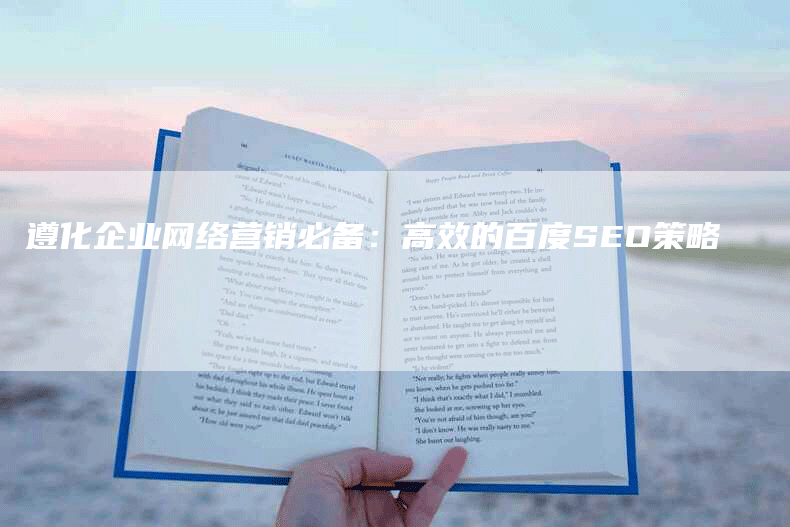 遵化企业网络营销必备:高效的百度SEO策略-网站排名优化网