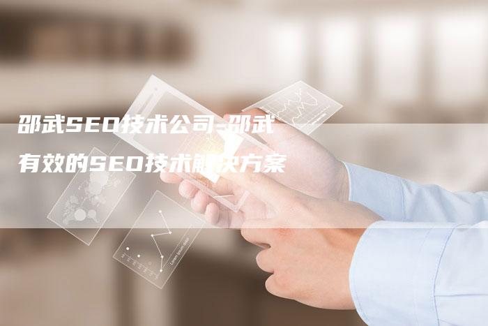 邵武SEO技术公司-邵武有效的SEO技术解决方案-网站排名优化网