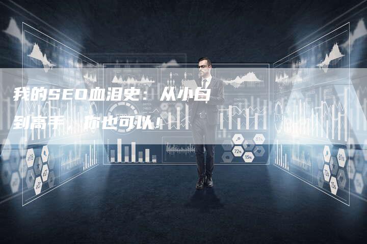 我的SEO血泪史：从小白到高手，你也可以！-网站排名优化网