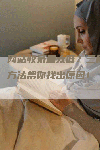 网站收录量太低？三种查询方法帮你找出原因！-网站排名优化网