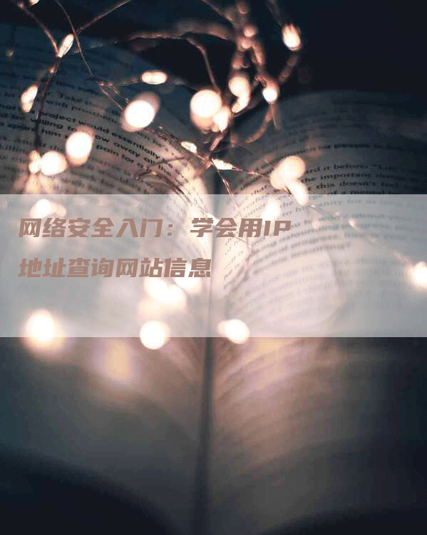 网络安全入门：学会用IP地址查询网站信息-网站排名优化网
