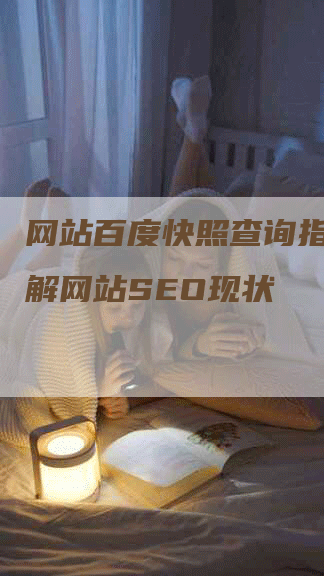 网站百度快照查询指南：了解网站SEO现状-网站排名优化网