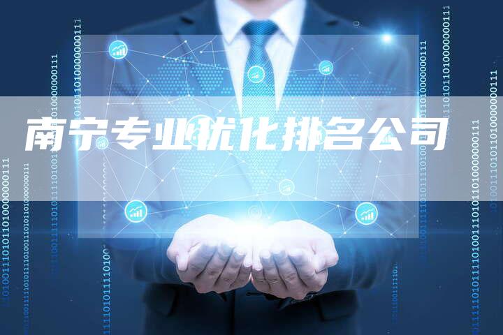 南宁专业优化排名公司