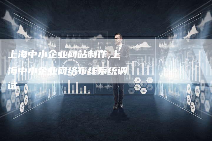 上海中小企业网站制作,上海中小企业网络布线系统调试-网站排名优化网