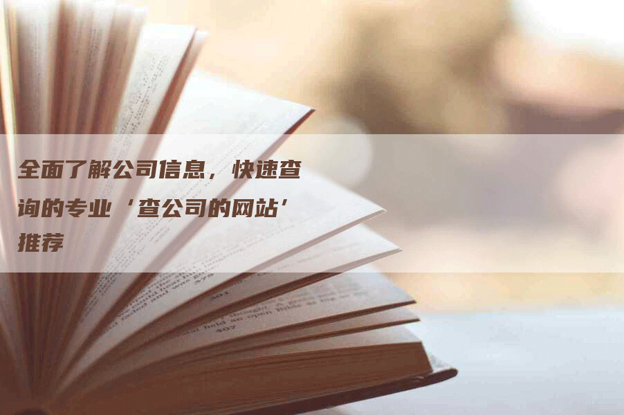 全面了解公司信息,快速查询的专业‘查公司的网站’推荐-网站排名优化网