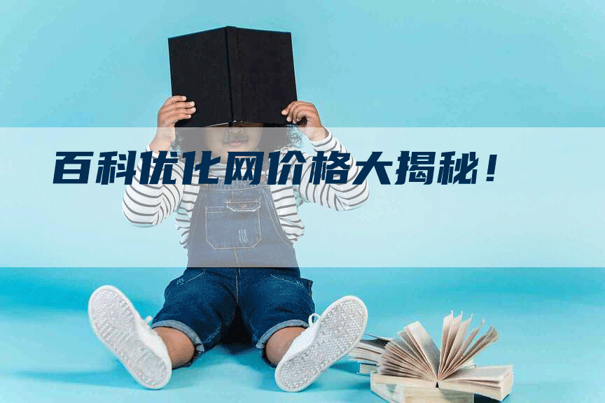 百科优化网价格大揭秘!-网站排名优化网