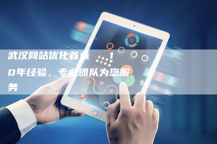 武汉网站优化首选   10年经验，专业团队为您服务