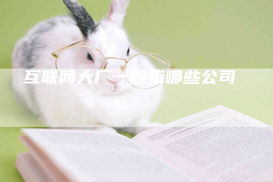 互联网大厂一般指哪些公司