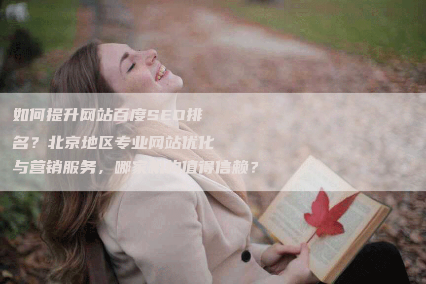 如何提升网站百度SEO排名？北京地区专业网站优化与营销服务，哪家机构值得信赖？-网站排名优化网