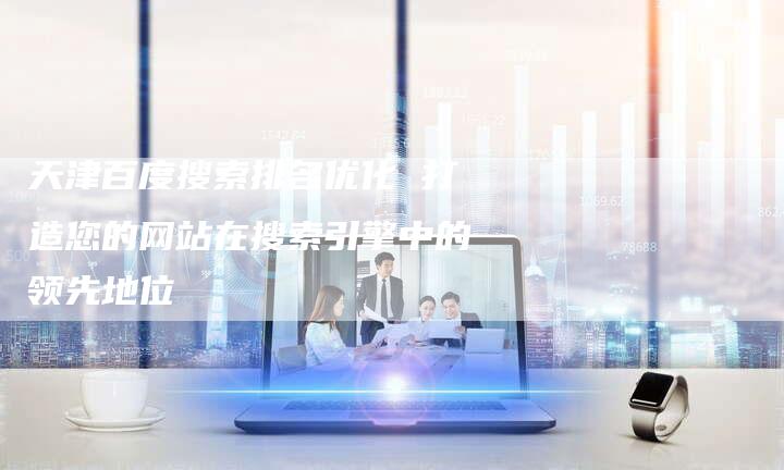 天津百度搜索排名优化 打造您的网站在搜索引擎中的领先地位