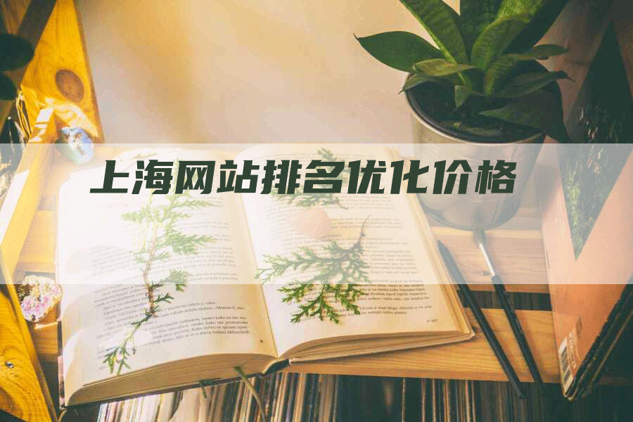 上海网站排名优化价格-网站排名优化网