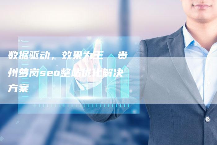 数据驱动，效果为王  贵州萝岗seo整站优化解决方案-网站排名优化网