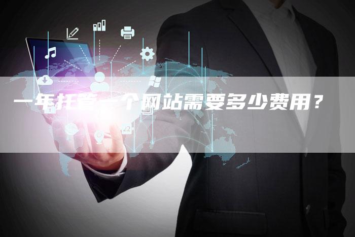 一年托管一个网站需要多少费用？-网站排名优化网