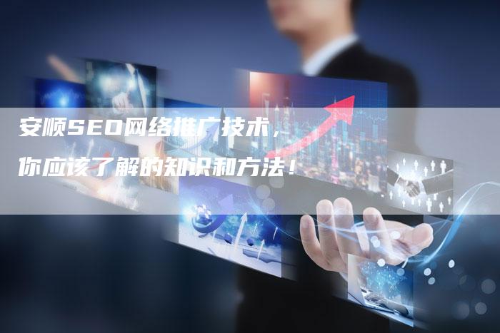 安顺SEO网络推广技术，你应该了解的知识和方法！