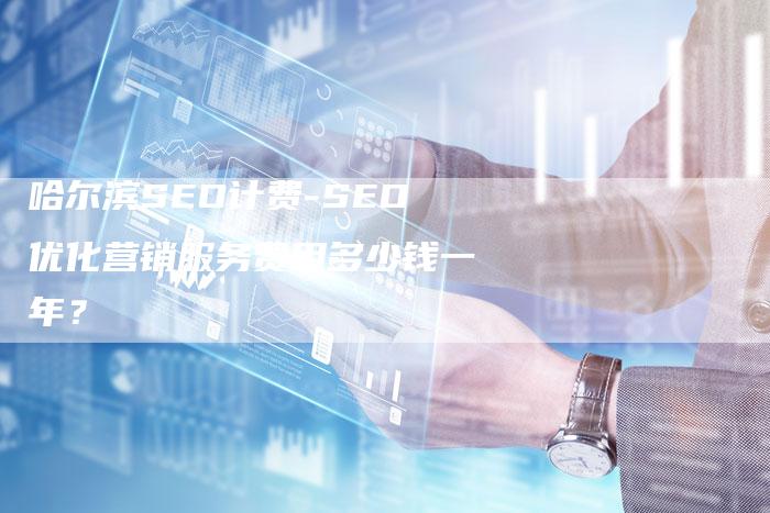 哈尔滨SEO计费-SEO优化营销服务费用多少钱一年？
