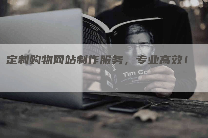 定制购物网站制作服务，专业高效！-网站排名优化网