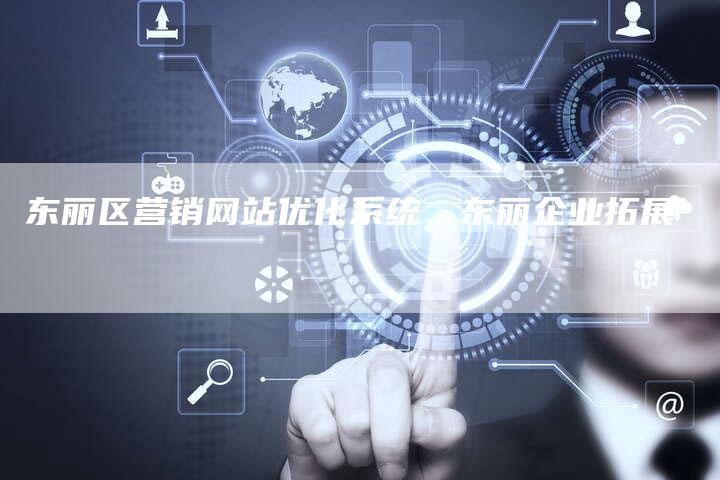 东丽区营销网站优化系统，东丽企业拓展