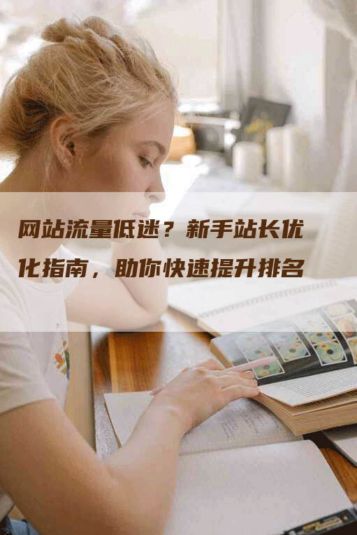 网站流量低迷？新手站长优化指南，助你快速提升排名-网站排名优化网