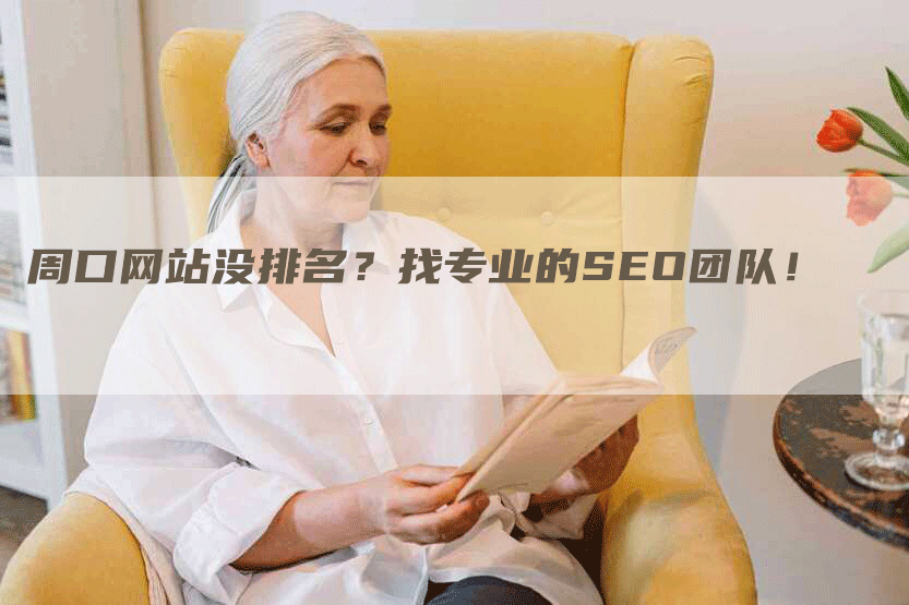周口网站没排名？找专业的SEO团队！-网站排名优化网