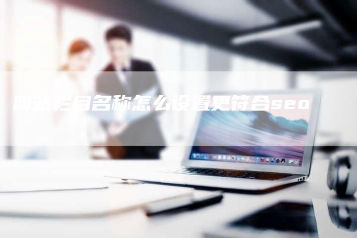 网站栏目名称怎么设置更符合seo-网站排名优化网