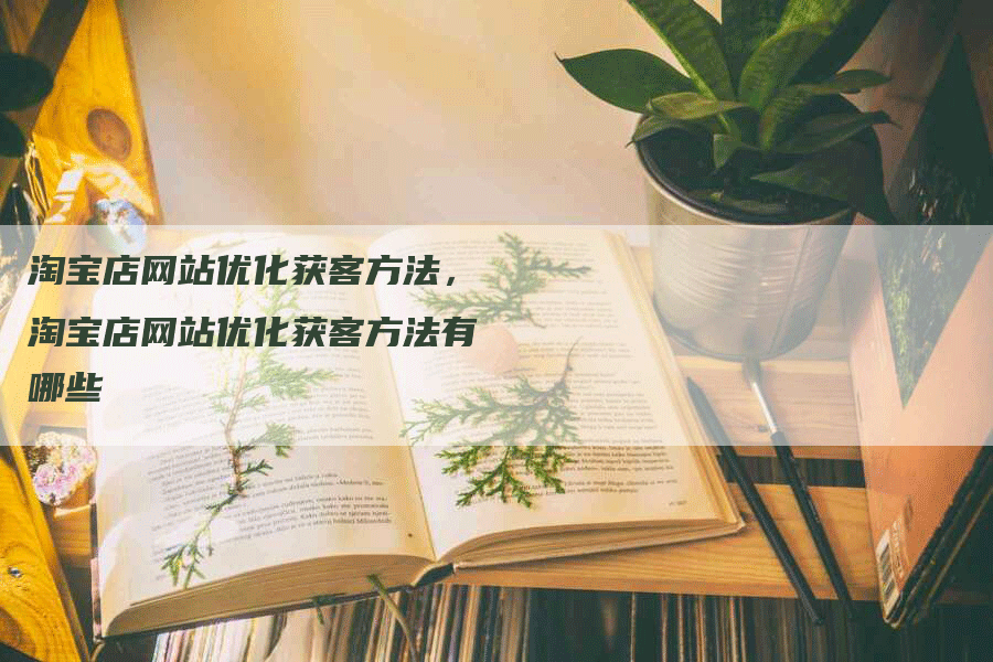 淘宝店网站优化获客方法，淘宝店网站优化获客方法有哪些-网站排名优化网