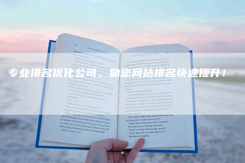 专业排名优化公司，助您网站排名快速提升！