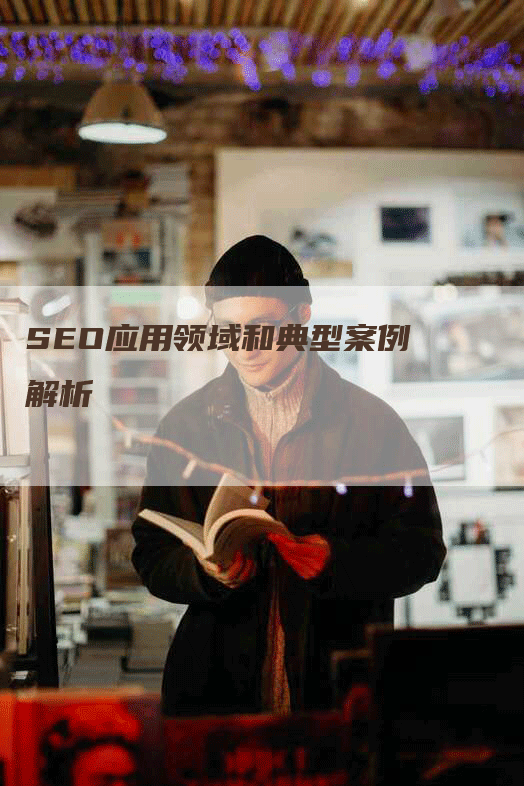 SEO应用领域和典型案例解析