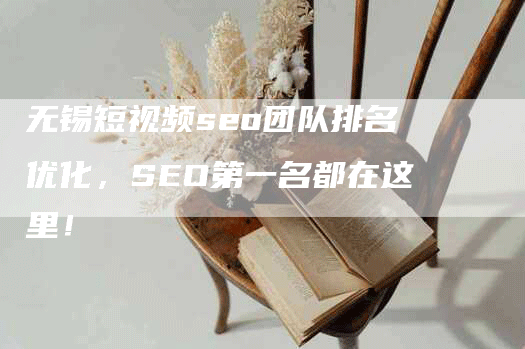 无锡短视频seo团队排名优化，SEO第一名都在这里！