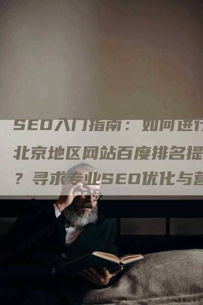 SEO入门指南：如何进行北京地区网站百度排名提升？寻求专业SEO优化与营销服务，推荐哪家机构？