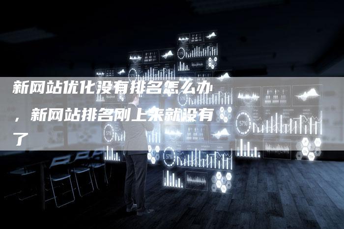 新网站优化没有排名怎么办，新网站排名刚上来就没有了