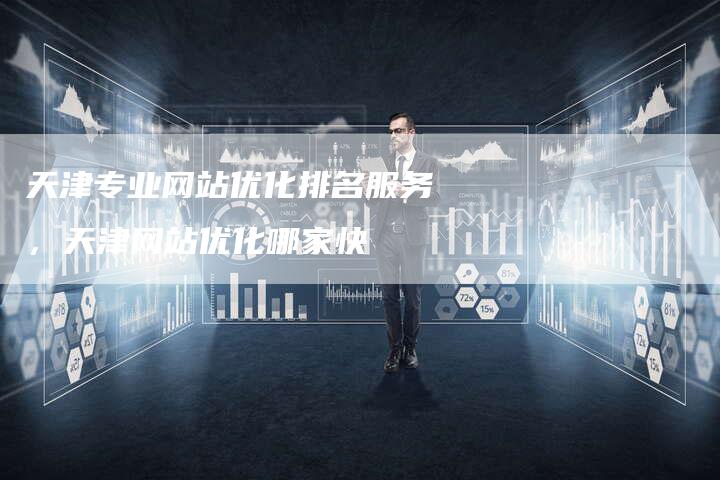 天津专业网站优化排名服务，天津网站优化哪家快