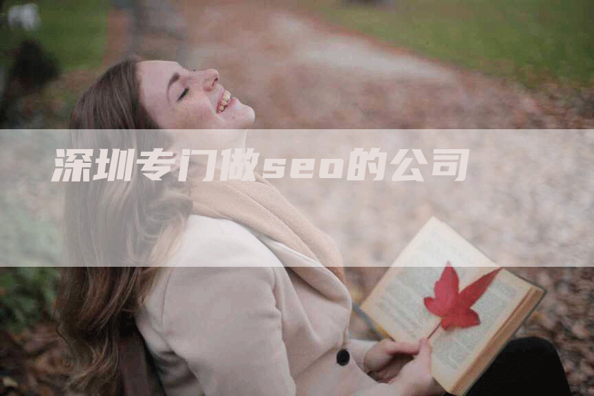 深圳专门做seo的公司