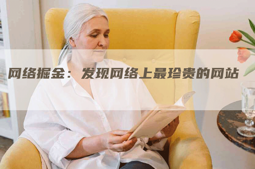 网络掘金：发现网络上最珍贵的网站-网站排名优化网