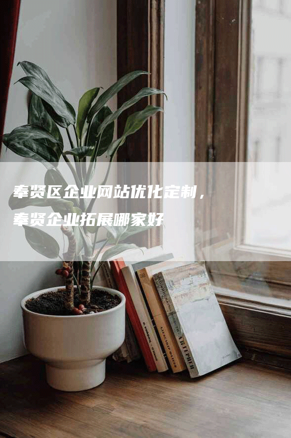 奉贤区企业网站优化定制，奉贤企业拓展哪家好