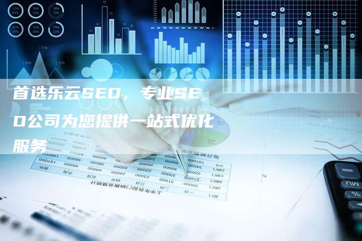 首选乐云SEO，专业SEO公司为您提供一站式优化服务-网站排名优化网
