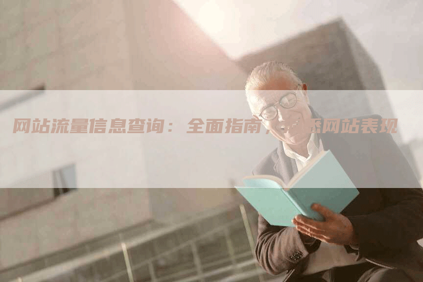 网站流量信息查询：全面指南，洞悉网站表现-网站排名优化网