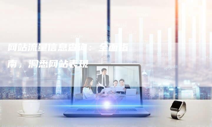 网站流量信息查询：全面指南，洞悉网站表现-网站排名优化网