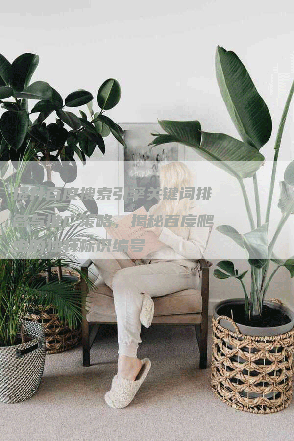 提升百度搜索引擎关键词排名与推广策略，揭秘百度爬虫的独特标识编号-网站排名优化网