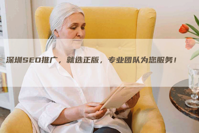 深圳SEO推广，就选正版，专业团队为您服务！-网站排名优化网