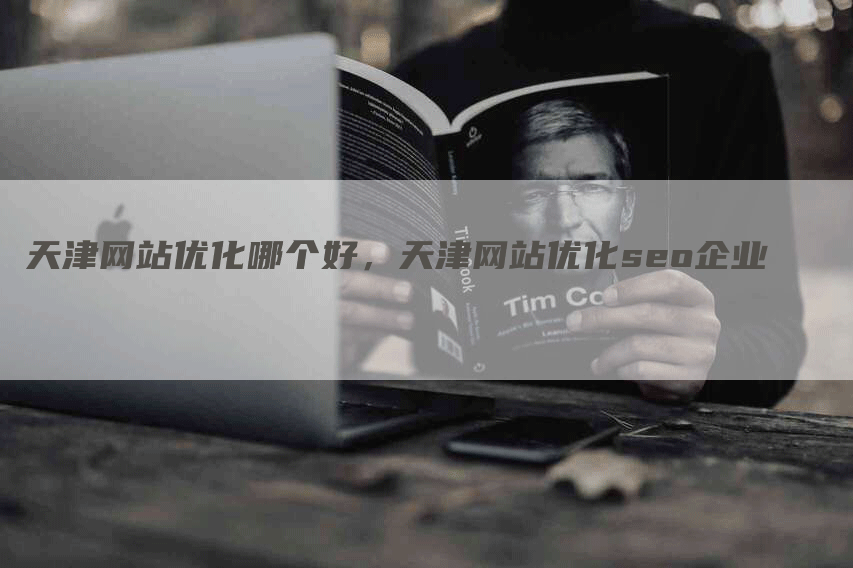 天津网站优化哪个好，天津网站优化seo企业