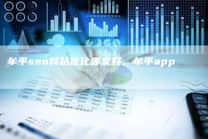 牟平seo网站优化哪家好，牟平app