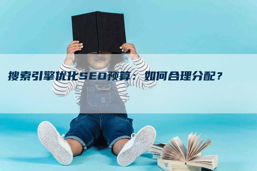 搜索引擎优化SEO预算：如何合理分配？-网站排名优化网