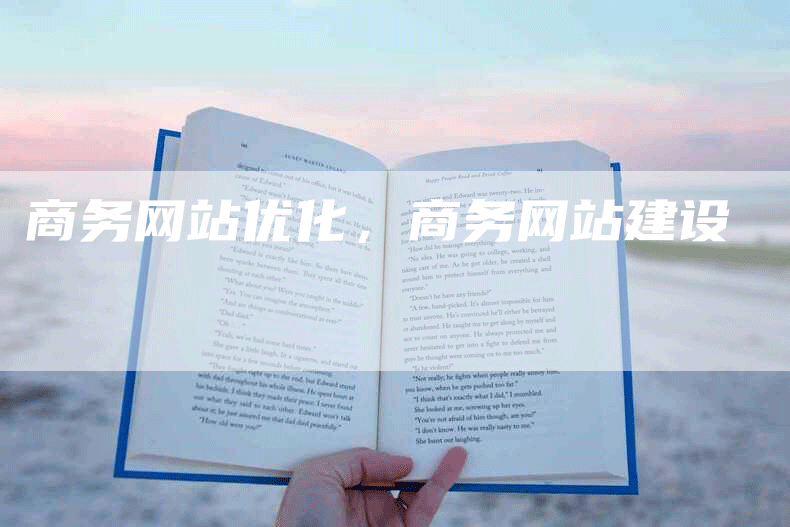 商务网站优化，商务网站建设