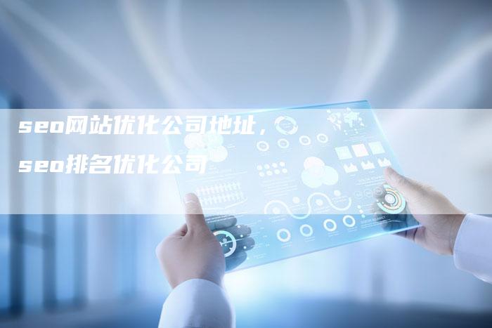 seo网站优化公司地址，seo排名优化公司